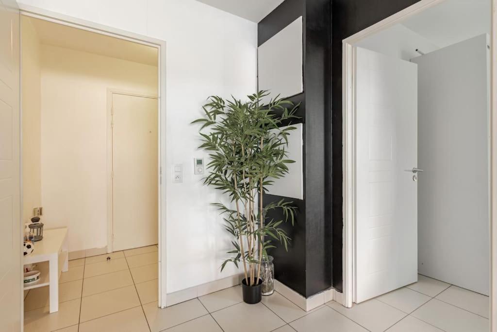 Appartement Cosy Et Chic 몽펠리에 외부 사진